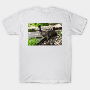 Emu T-Shirt